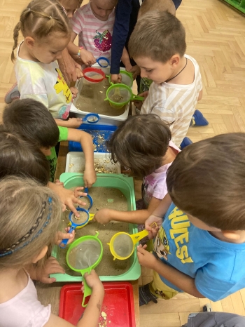 inbound3258078003806425970