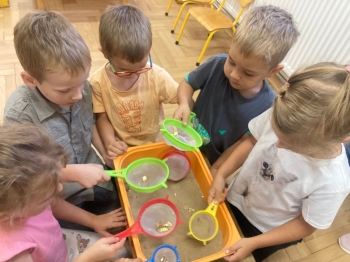 inbound9086492383989020527