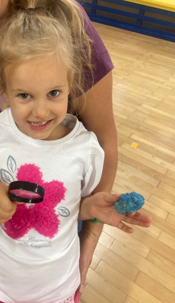 inbound8882686998212396276