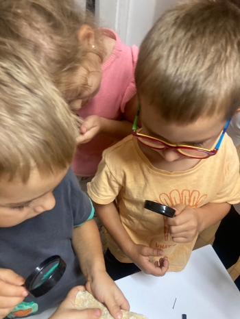 inbound8265127462634576501