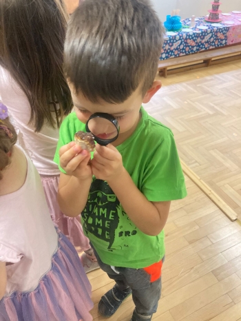 inbound5374772897724625860