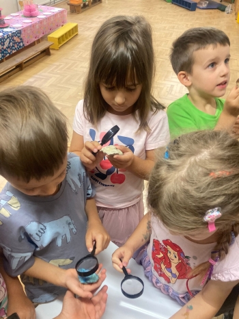 inbound7326150988628899526