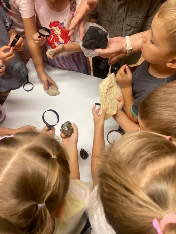 inbound9085935567687555634