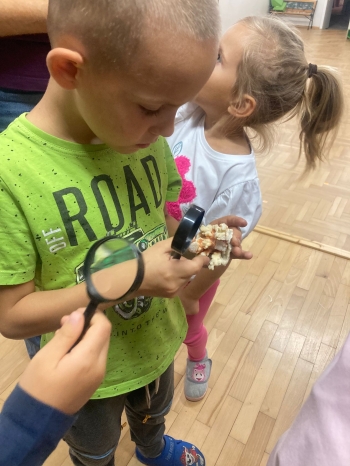 inbound3309404418497182232