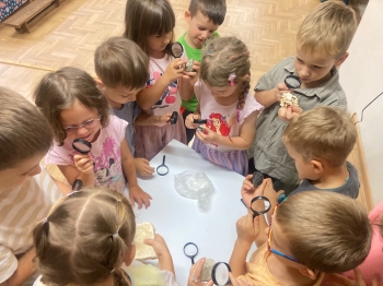 inbound6604420831961500288