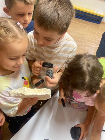 inbound3358138039381803138