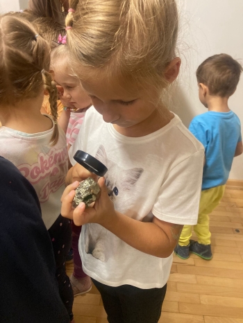 inbound5351869326708298545