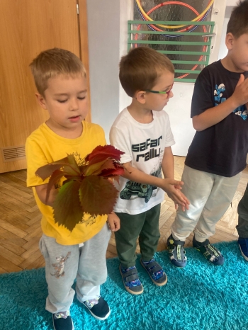 inbound4936336851456533923