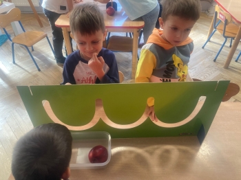 inbound7741946883785983911