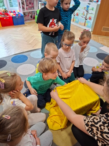 inbound6494790720195440703