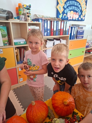 inbound3579572374098446804