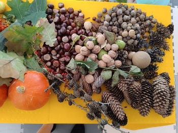 inbound5340643267508034995