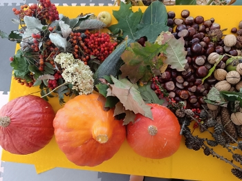 inbound7834923697448384663