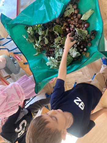 inbound184259636247141512