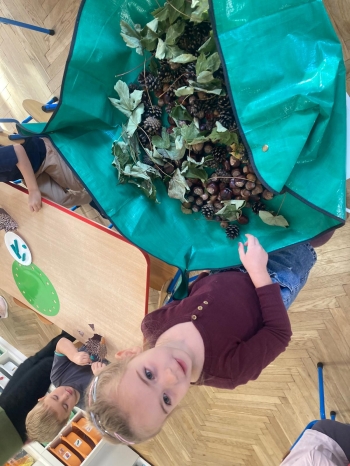 inbound4517988761228952622