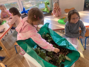 inbound892391286126889637