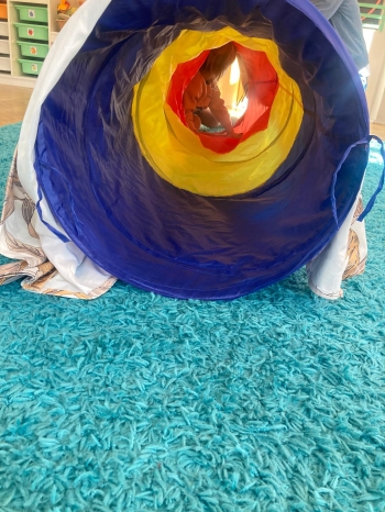 inbound3793521543643239959