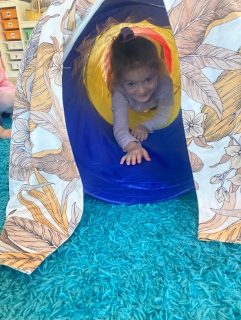 inbound1031599375034502475