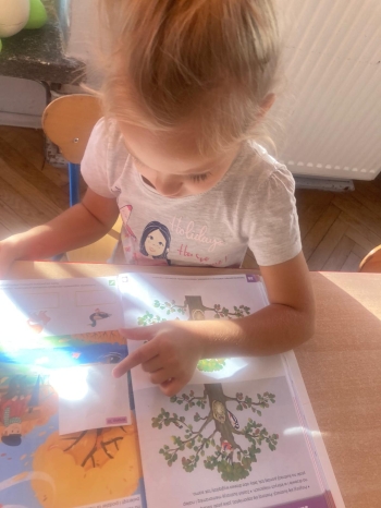 inbound4700278640956201574