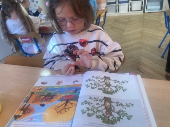 inbound6265011193138665794