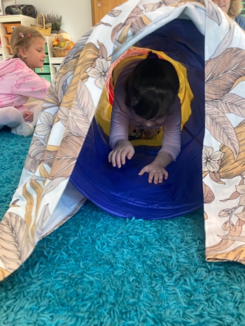 inbound86442858469118032