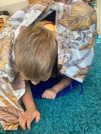 inbound4200646113347856573