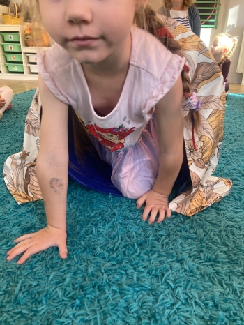 inbound3646187274784400910