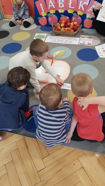 inbound3459352864166553306