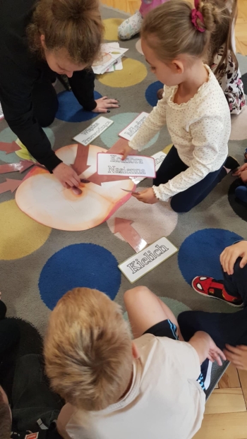 inbound8204302946155554974