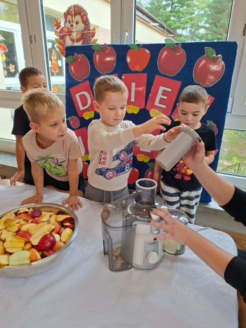 inbound4902216586027069274