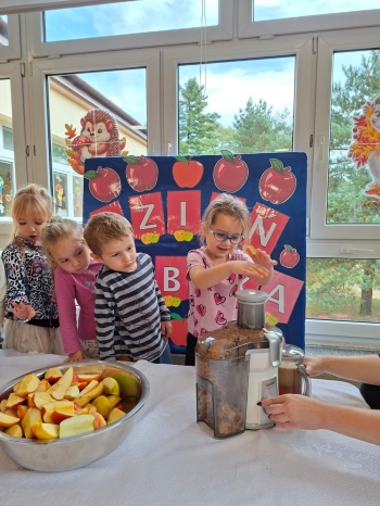 inbound6709160359294910846