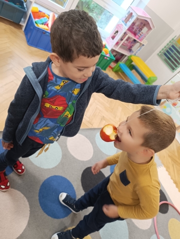 inbound4463092037232549563