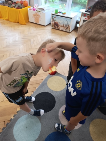 inbound356013311695687771