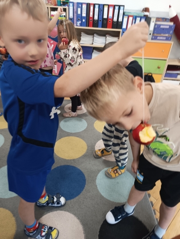 inbound5869279101354175027