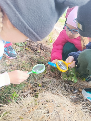 inbound4171163987419227121