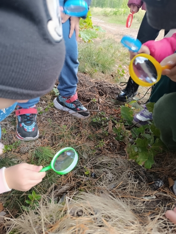 inbound8403735549607003350