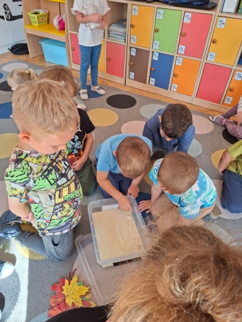 inbound8184309827927315000