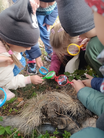 inbound616706711929501987