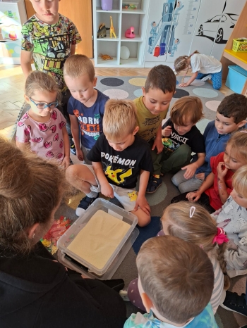 inbound7700020420389331555