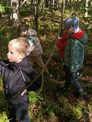 inbound3257846033318913491