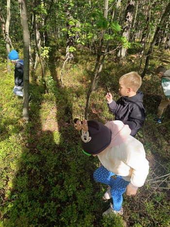 inbound2673790984559529657