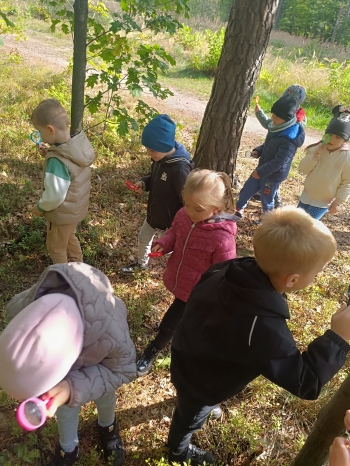 inbound2708686460310979531