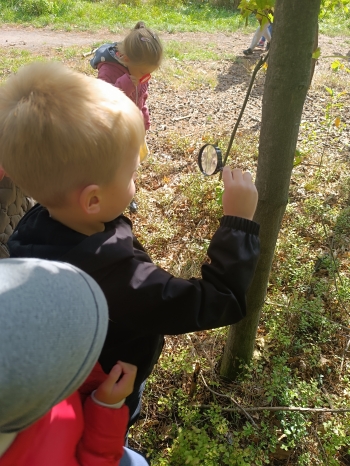 inbound919936508401162252