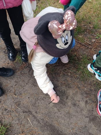 inbound3576053261093070305