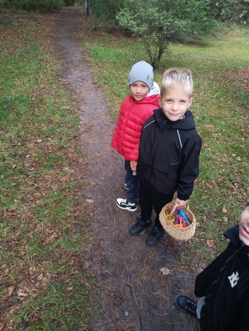 inbound8923993966563159181