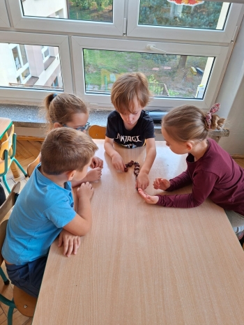 inbound2897738703291001173