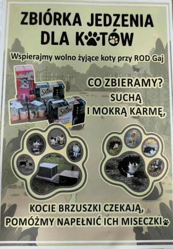 dbb6d325-60a9-4c7e-96d3-48bd391fc52a