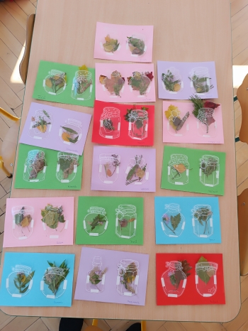 inbound5064844722225756262