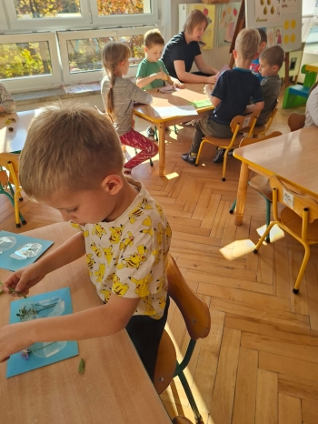 inbound3288232209395490883