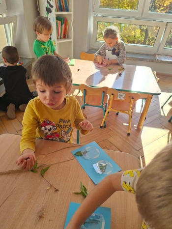 inbound8986683936417331055